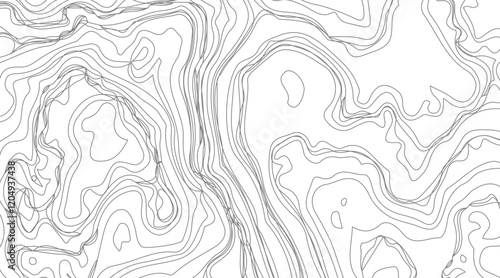 Topographic contour map illustration. Topography and geography map grid abstract backdrop. Business concept. Fish Fillet Texture, Salmon fillet texture, fish pattern. paper texture