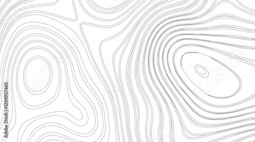 Topographic contour map illustration. Topography and geography map grid abstract backdrop. Business concept. Fish Fillet Texture, Salmon fillet texture, fish pattern. paper texture