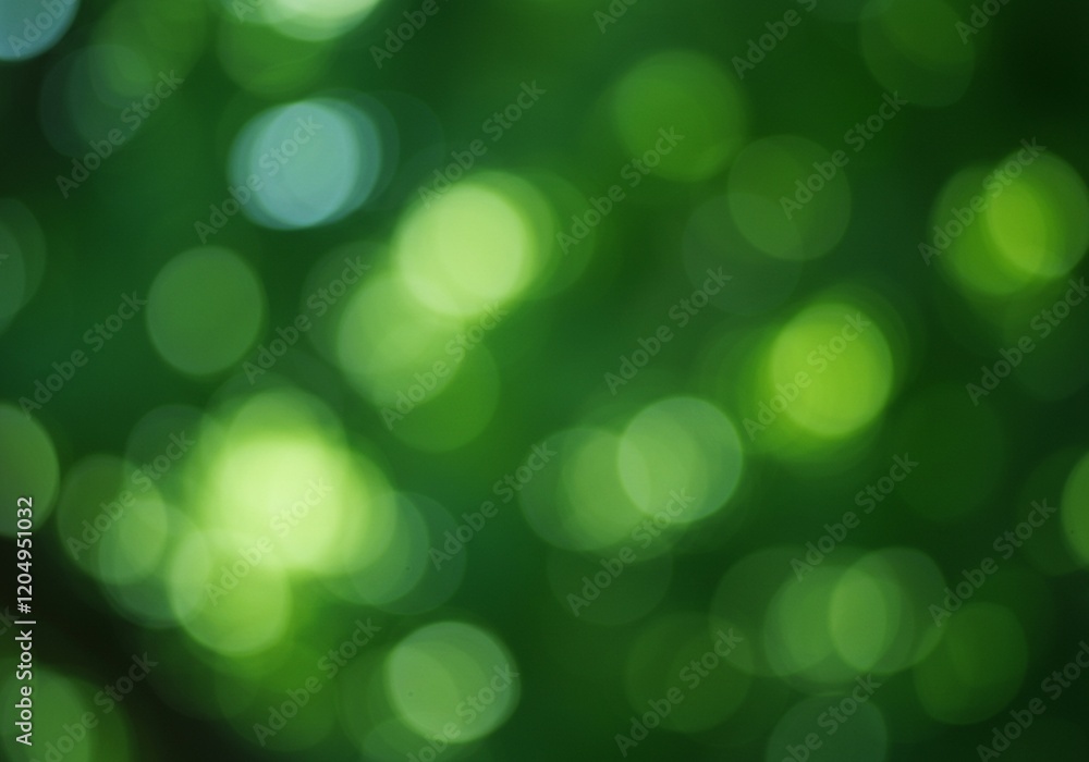 A blurred image of a forest with a focus on bokeh effects created by sunlight filtering through the leaves, creating a dreamy and atmospheric image A blurred image of a forest with a focus on bokeh effects created by sunlight filtering through the leaves, creating a dreamy and atmospheric image