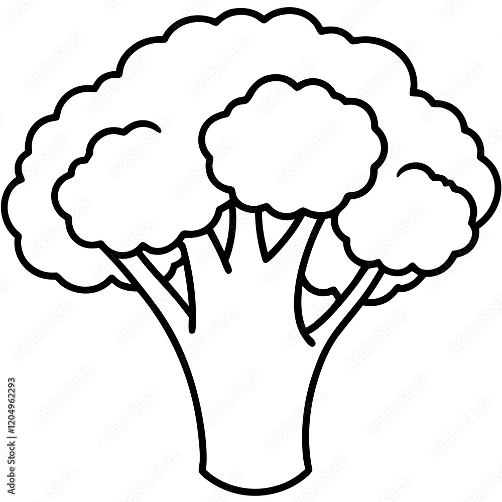 Broccoli Line Art with Modern Style Broccoli Line Art with Modern Style