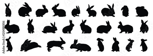 rabbit or bunny silhouette set. rabbit isolated farm animal realistic silhouette icon vector collection