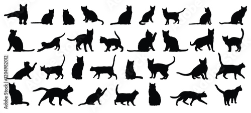 cat silhouette set. cat or kitty isolated farm animal silhouette icon vector collection