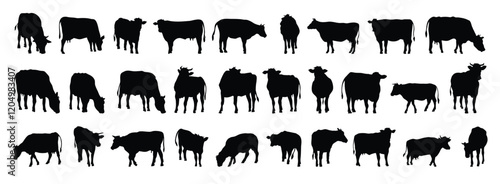 cow and calf silhouette set. cow and calf isolated farm animal silhouette icon vector collection