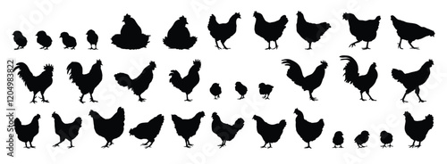 hen or chicken, rooster and chicks silhouette set. hen, rooster and chicks isolated farm animal silhouette icon vector collection