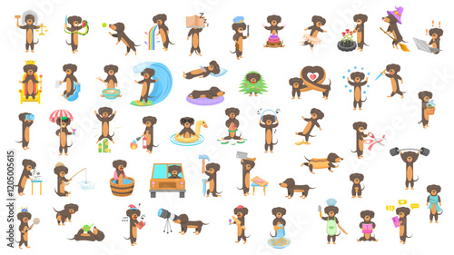 Big Set Abstract Collection Flat Cartoon Different Animal Dachshunds Dogs Vector Design Style Elements Fauna Wildlife