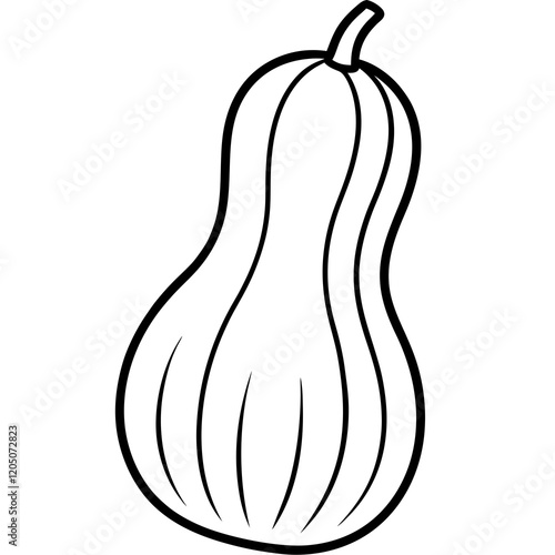 butternut squash line art vector illustration 