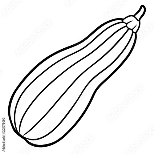 zucchini line art vector illustration 