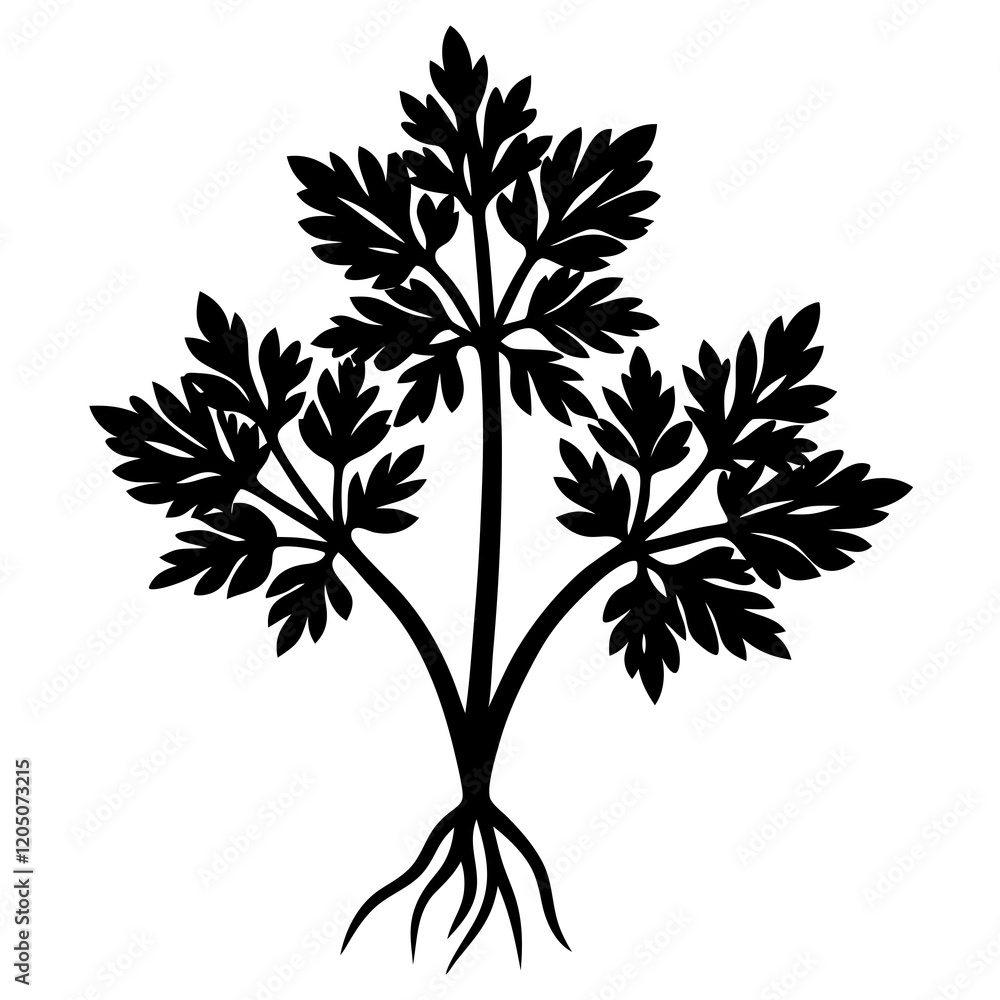 Obraz premium parsley root silhouette vector illustration 