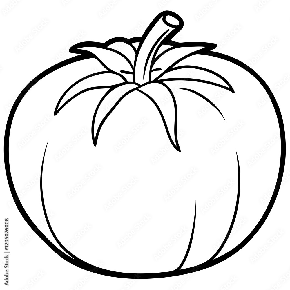 Simple Tomato Outline Illustration Simple Tomato Outline Illustration