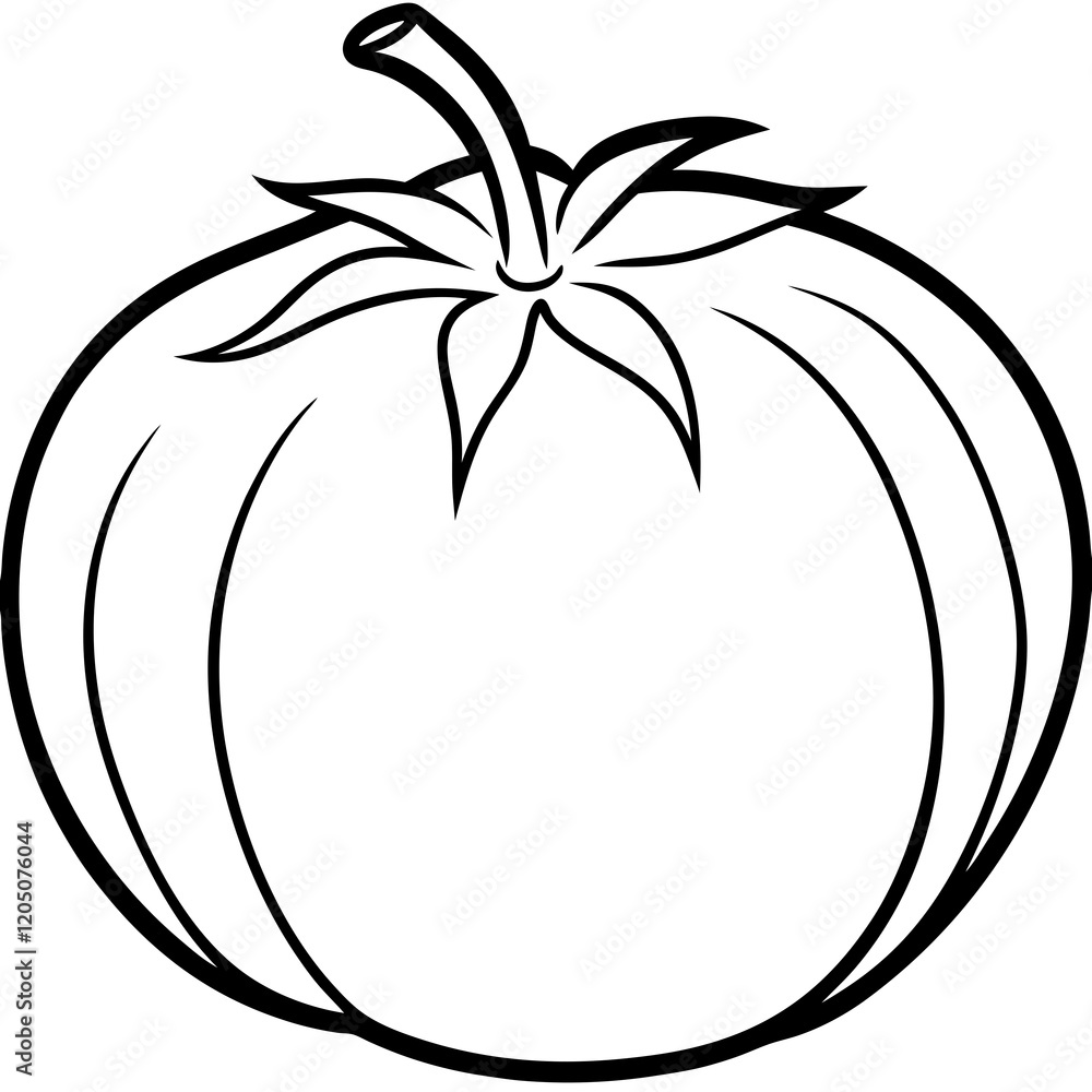 Simple Tomato Outline Illustration Simple Tomato Outline Illustration