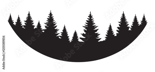 Silhouette of a Coniferous Forest