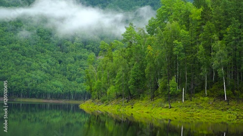 View from a boat. A boat jets along a picturesque lake in the Zeisky Nature Reserve. Far Eastern taiga.