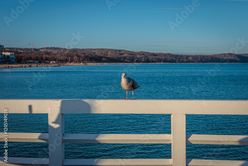 Sopot, Poland - December 25 2024 "Winter walk on pier in Sopot"