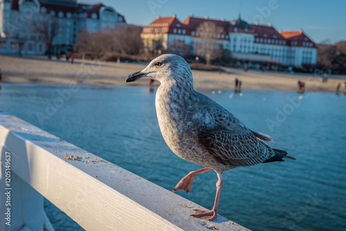 Sopot, Poland - December 25 2024 "Winter walk on pier in Sopot"
