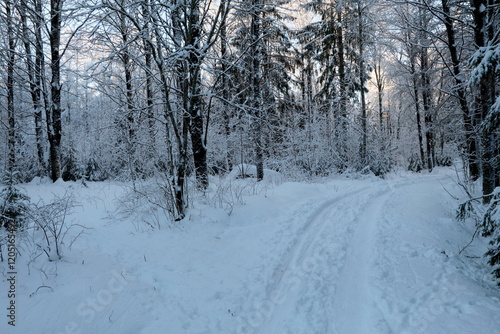 Winter