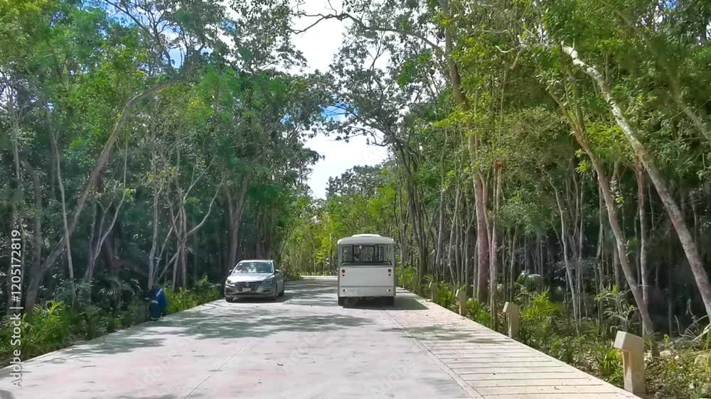 Road way and moving cars in tropical jungle nature Mexico. Road way and moving cars in tropical jungle nature Mexico.