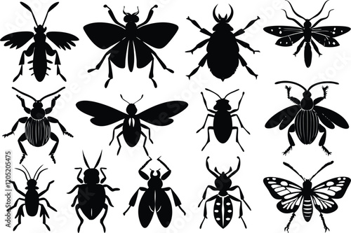 insects silhouettes in black on a beige background