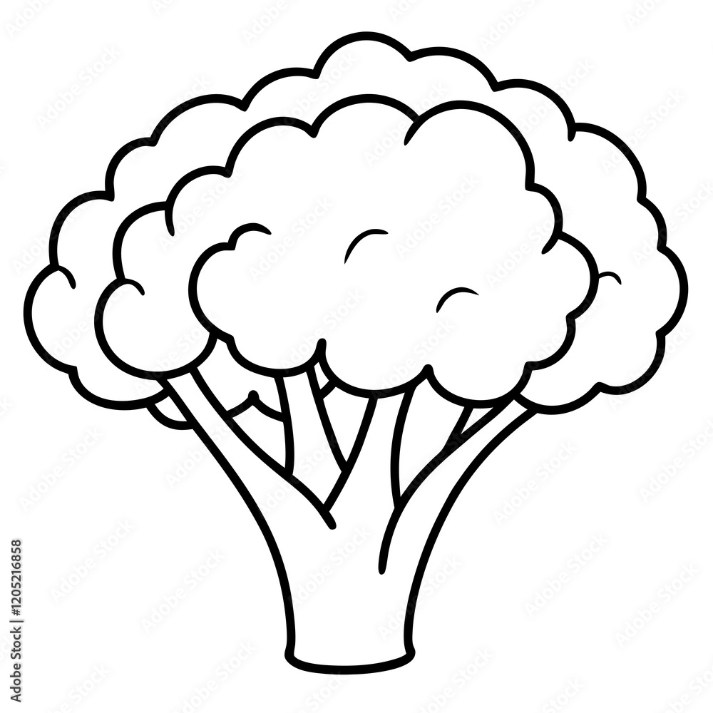 Elegant Broccoli Line Drawing for Vector Art Elegant Broccoli Line Drawing for Vector Art