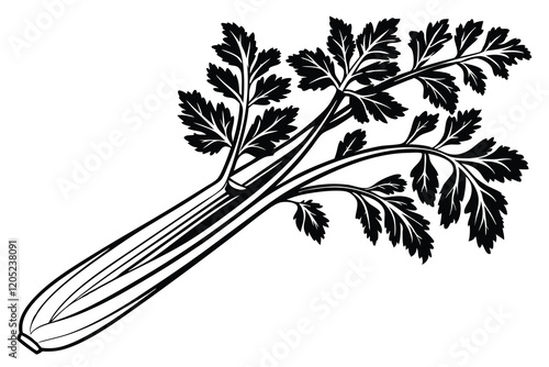 Celery Apium graveolens  silhouette, black and white, white background B.eps