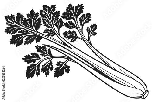 Celery Apium graveolens  silhouette, black and white, white background F.eps