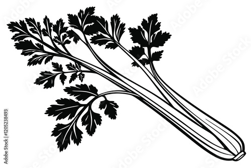 Celery Apium graveolens  silhouette, black and white, white background H.eps