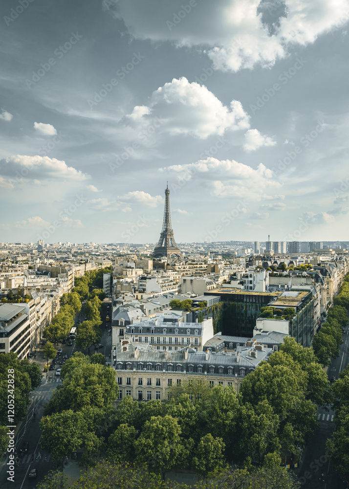 Fototapeta premium Paris Skyline with Eiffel Tower on a Sunny Day