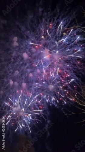 fireworks in the sky