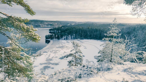 a winter landscape where a beautiful lake stretches across the scene. The center of the lake is still open water, reflecting the gray winter sky and the snow-covered trees that line its edges. On one 
