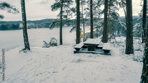 a winter landscape where a beautiful lake stretches across the scene. The center of the lake is still open water, reflecting the gray winter sky and the snow-covered trees that line its edges. On one 