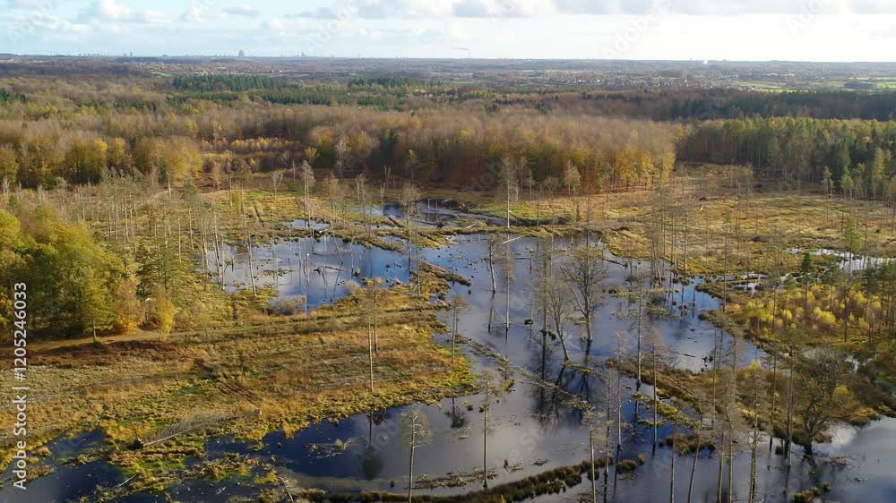 Drone flying over beautiful bog in the autumn Drone flying over beautiful bog in the autumn