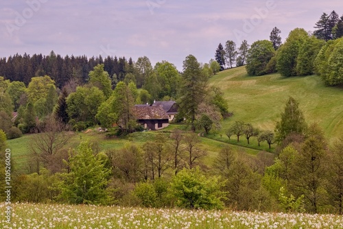 The countryside and landscape full of meadows and forests at Vysocina region, Czech republic