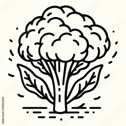 Cauliflower Line Art Illustration