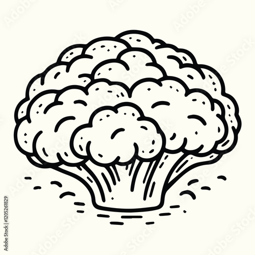 Cauliflower Line Art Illustration