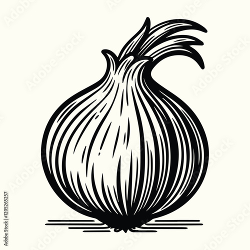 Onion Line Art Illustration