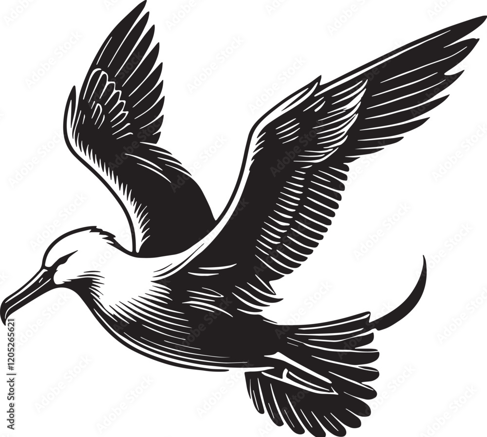 Fototapeta premium Black Color Albatross Silhouette Vector Illustration, Solid White Background. minimal vector design