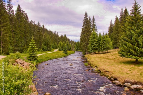 Obraz na płótnie A beautiful scenery of the Roklan river in the middle of trees at Sumava national park, Czech republic w salonie