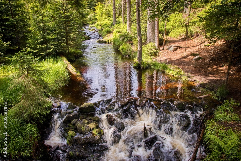 A beautiful scenery of the Losenice river in forest at Sumava national park