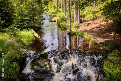 Obraz na płótnie A beautiful scenery of the Losenice river in forest at Sumava national park w salonie
