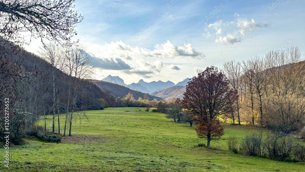 Beautiful sunny day in the mountains with green lush meadows Beautiful sunny day in the mountains with green lush meadows