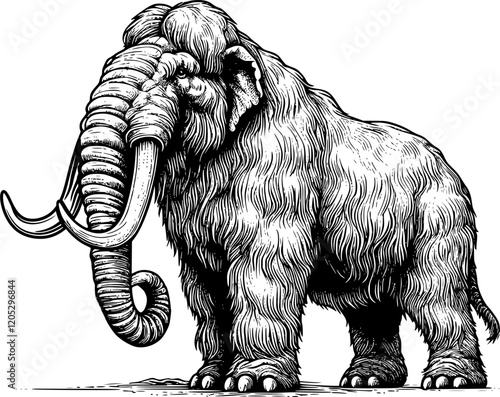 illustration of a mamoth isolated on white