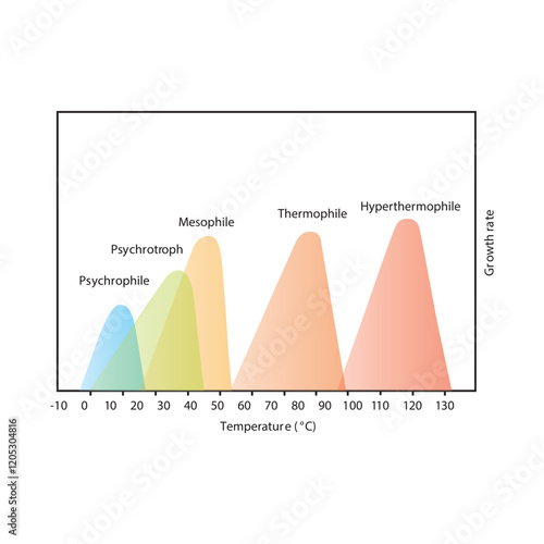 Diagram showing ideal bacterial growth temperature - Psychrophile, psychrotroph, mesophile, thermophile and hyperthermophile