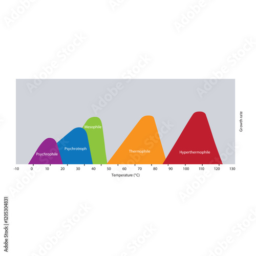 Diagram showing ideal bacterial growth temperature - Psychrophile, psychrotroph, mesophile, thermophile and hyperthermophile