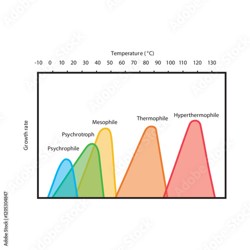 Diagram showing ideal bacterial growth temperature - Psychrophile, psychrotroph, mesophile, thermophile and hyperthermophile