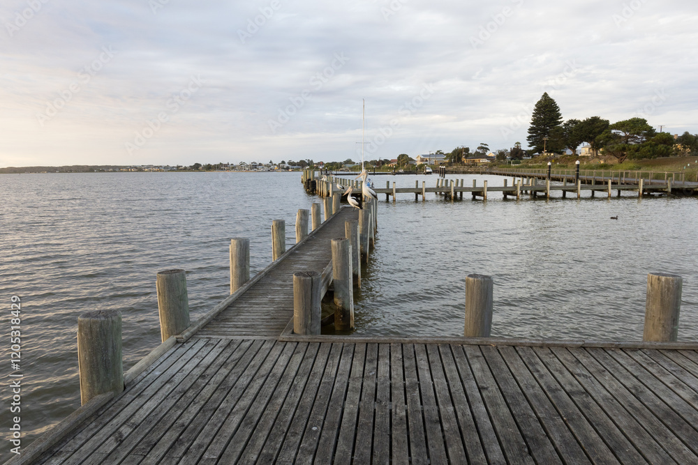 Fototapeta premium Wharf with pelicans