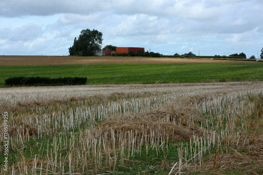 Walking Trail in the countryside - Buysscheure - Nord - Hauts-de-France - France