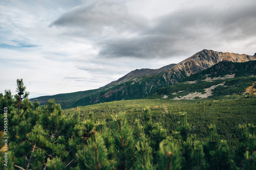 Fototapeta premium Mountain Range with Lush Greenery and Cloudy Sky