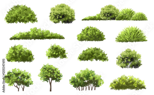  Vector watercolor green  tree or forest side view isolated on white background for landscape and architecture drawing,elements for environment or and garden,Shrub for section