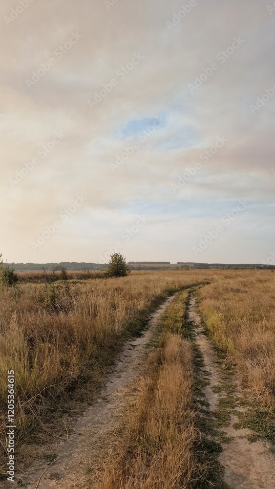 Fototapeta premium landscape with a road