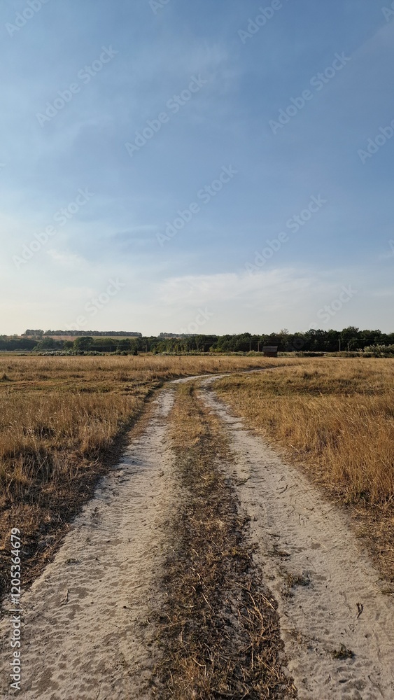 road in the field road in the field