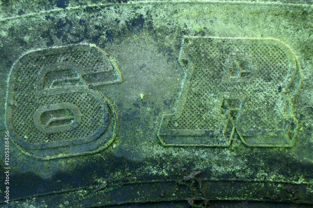 Detail of an old tractor tyre - covered with lichen and moss - weathered